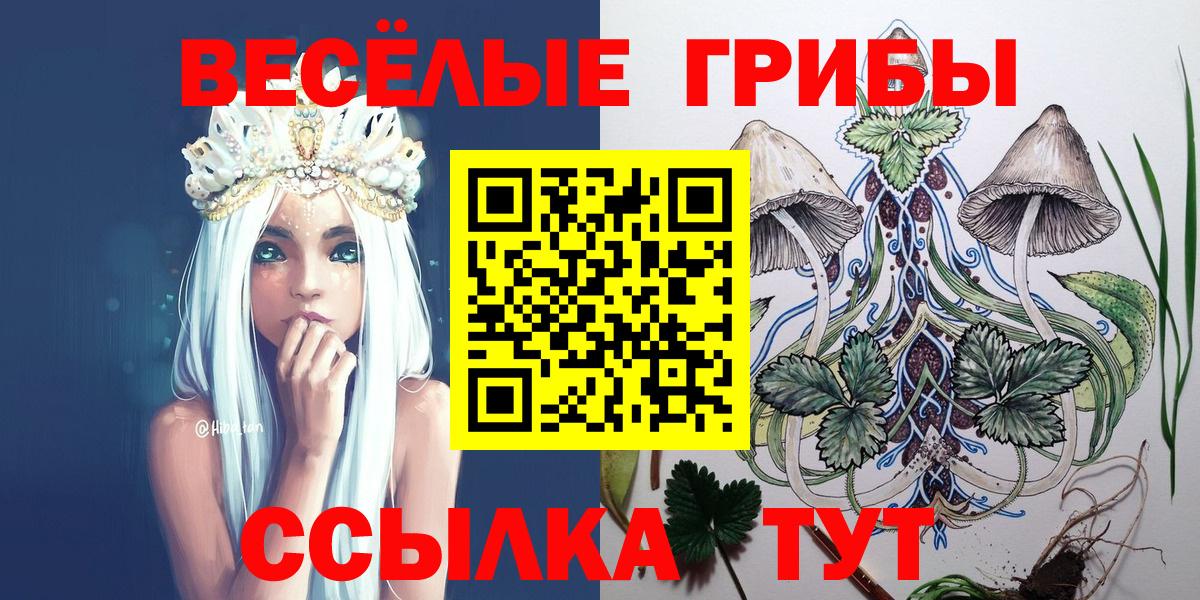 Галлюциногенные грибы MAGIC MUSHROOMS  Вход с VPN  Соль-Илецк  Галлюциногенные грибы Psilocybe 